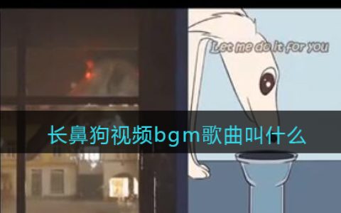 长鼻狗视频bgm歌曲叫什么 Tiktok歌曲歌词