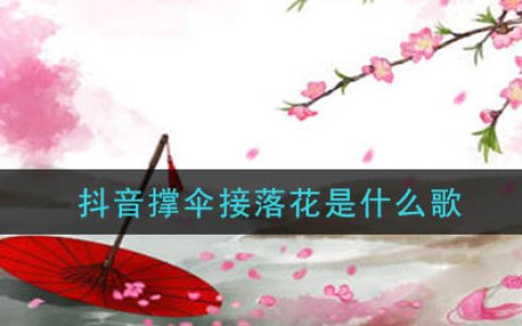 《抖阴》撑伞接落花歌曲介绍