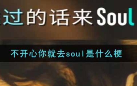 不开心你就去soul是什么梗