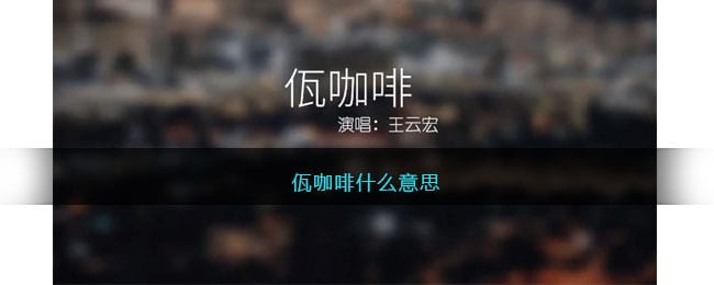 佤咖啡什么意思-佤咖啡歌曲歌词完整版