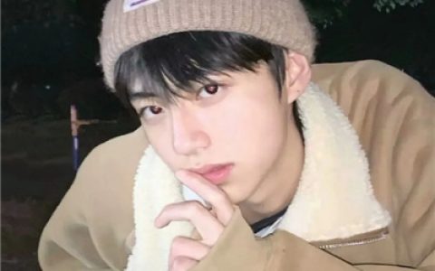 很帅气的最新版男头合集(全网很火的ins风男头真人)