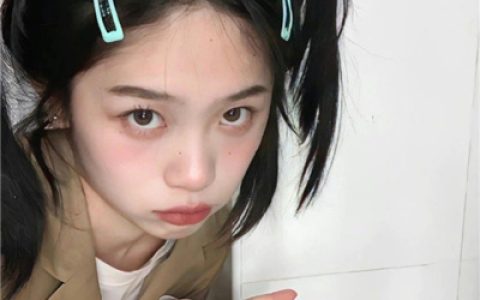 优质精致的女头(超好看的精致感女头真人气质)