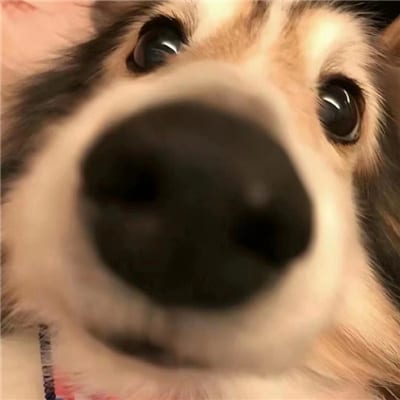 最新版的情头可爱(顶级情侣必备沙雕又可爱的不明显情头)