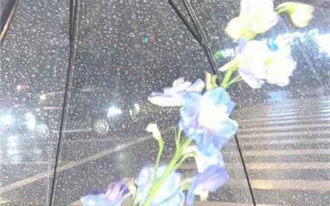 热门气质十足的优质女头最新版(明亮温柔蓝色系美女专用氛围女头)