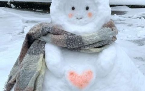 祝眉目舒展顺问冬安(超级萌又很可爱的小雪人的头像大全)