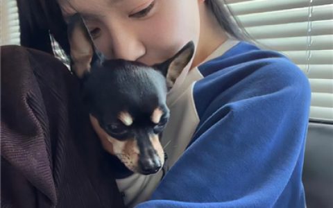 高级感又很优质的女头(高质量的女头最新版超美)