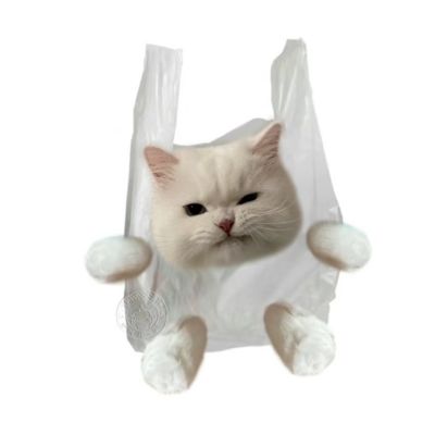 全新猫咪抖阴头像合集(白看不厌的猫咪抖阴头像可爱)