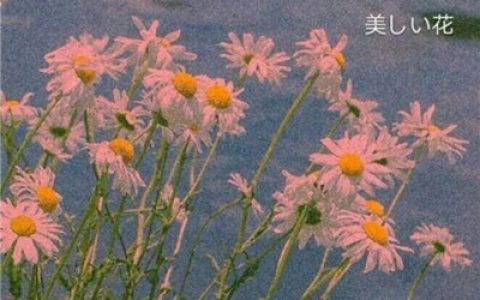 有太多的浪漫事物想与你分享(四月治愈系又好看的风景头像)