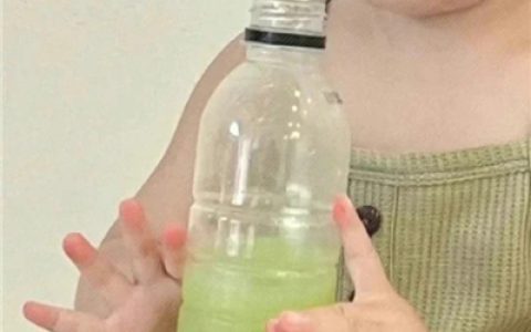 呆萌小可爱的情头合集(很萌又俏皮的情头最新版)