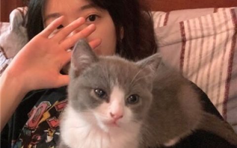 高清优质的女头合集(最近超爱用的女头合集)