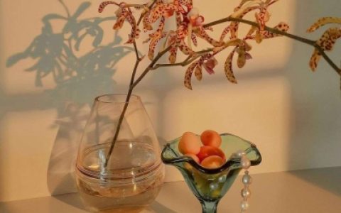 能够带来好运风景的头像大全(女人最旺财的抖阴头像)
