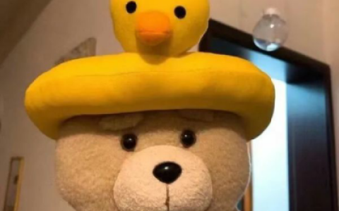 当夕阳西下要与爱人相拥(沙雕但是却很治愈的小动物头像)