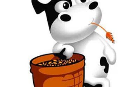 懂事并没有让我好过一些(可爱的给你带来好运的牛头头像)