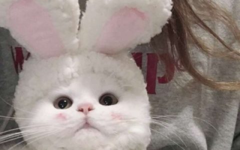 适逢其会猝不及防(萌妹子可爱到无法自拔的抖阴头像)