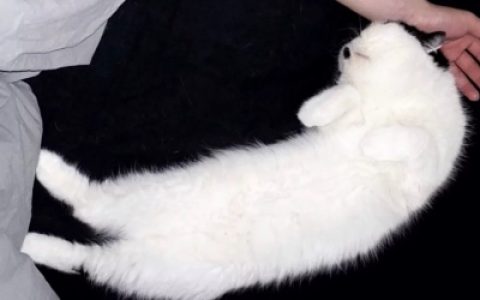 不管感情还得生活见好就收不行就换(男生低调又好看的很干净的部位头像)