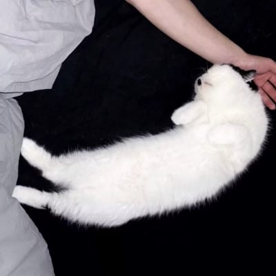 不管感情还得生活见好就收不行就换(男生低调又好看的很干净的部位头像)