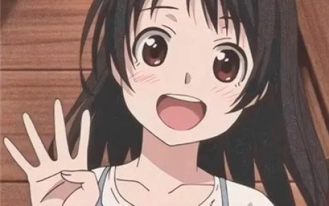 高质量的二次元女头合集(颜值高又很好看的动漫女头大全)