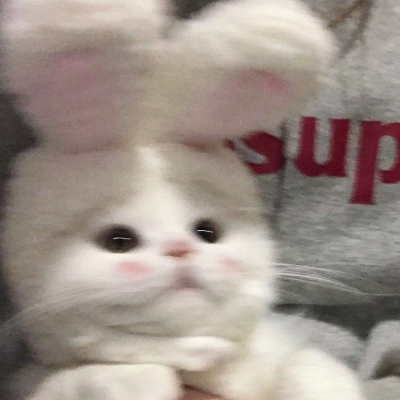 其实就是一直在心里(仙女与猫猫的好看抖阴精选头像)图