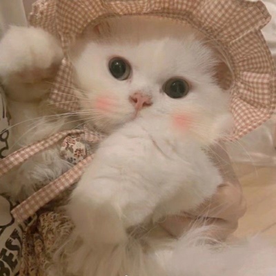 其实就是一直在心里(仙女与猫猫的好看抖阴精选头像)图3