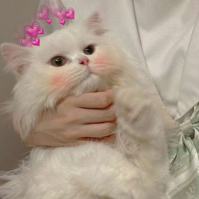 其实就是一直在心里(仙女与猫猫的好看抖阴精选头像)图6