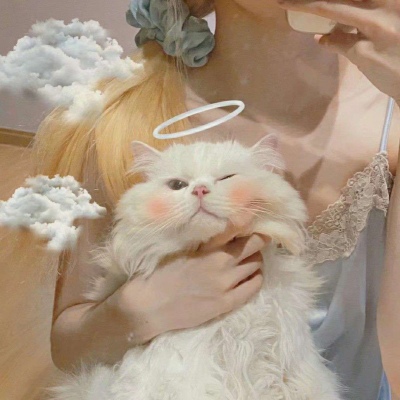 其实就是一直在心里(仙女与猫猫的好看抖阴精选头像)图7
