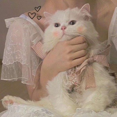 其实就是一直在心里(仙女与猫猫的好看抖阴精选头像)图8
