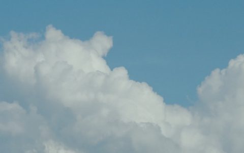 干净清爽的夏天头像(抖阴头像夏日清新风景图)