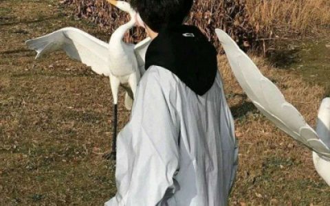 心太软的人是很难快乐的(逗比男神专属搞怪个性男生头像)