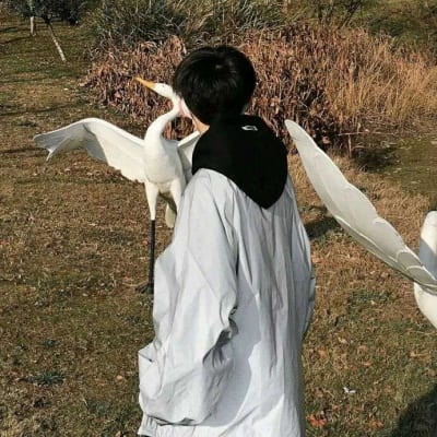 心太软的人是很难快乐的(逗比男神专属搞怪个性男生头像)
