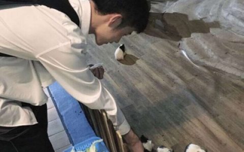 愿冬季的各种所爱都漫长且愉快(很酷很文艺范的男生头像)
