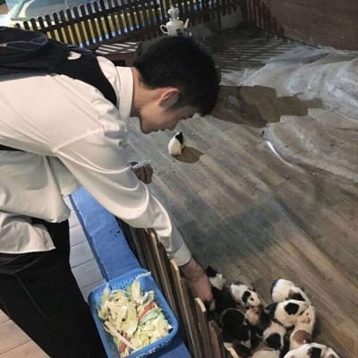 愿冬季的各种所爱都漫长且愉快(很酷很文艺范的男生头像)