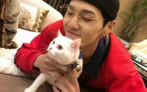 这些美好和温柔都会如约而至(最新稳重清新俊逸的干净男生头像)