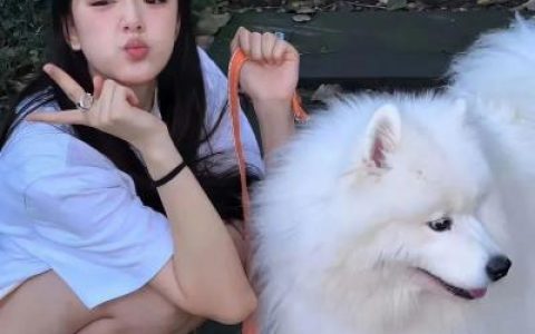 清爽气质女头很又女神范(柔美又很清秀的女头最新版)