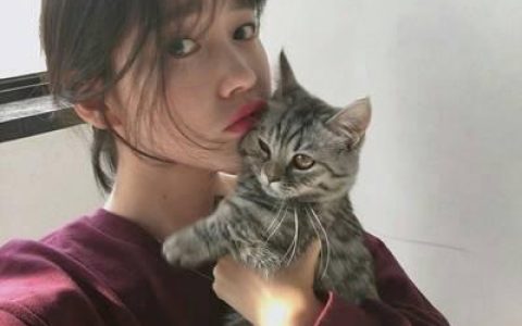 好看的女生和猫咪合照头像(女生吸猫头像可爱呆萌)