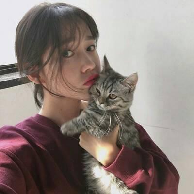 好看的女生和猫咪合照头像(女生吸猫头像可爱呆萌)