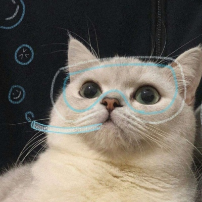 千里独行不必相送(可爱有个性的猫咪抖阴头像)图6