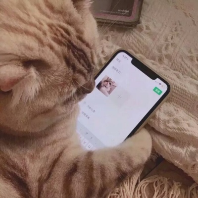 千里独行不必相送(可爱有个性的猫咪抖阴头像)图10