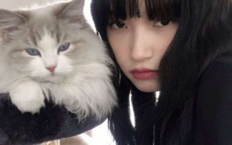 气质美女和小猫咪头像(女生抱猫头像高清真人)
