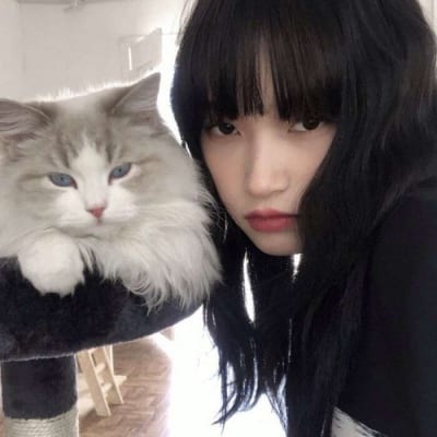 气质美女和小猫咪头像(女生抱猫头像高清真人)