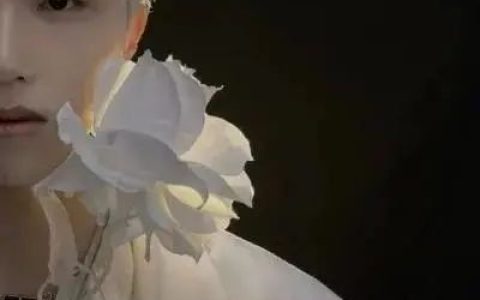 低调不像情头的好看头像(不明显的却很优质的情头高清)