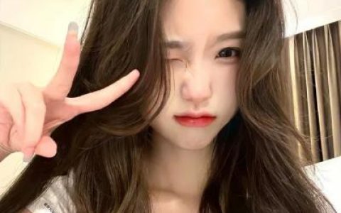 耐看型的优质女头(与众不同的女头真人高质量)