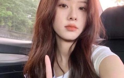 优质女头干净温柔气质文艺(气质淡雅高贵女头很精致)