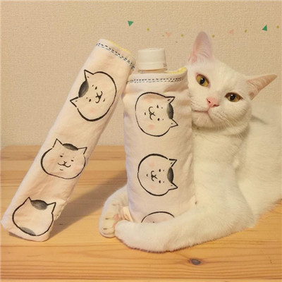 活的像公主才能吸引到王子(两只吃货猫咪头像高清图片)