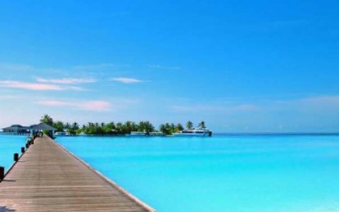 爸爸妈妈的抖阴头像海边美景(长辈头像大全唯美风景)