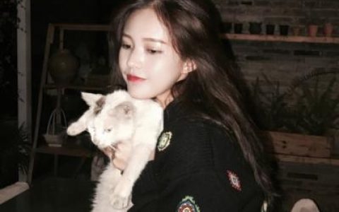 争气永远比生气漂亮(可爱女生和萌猫咪合照头像超好看)