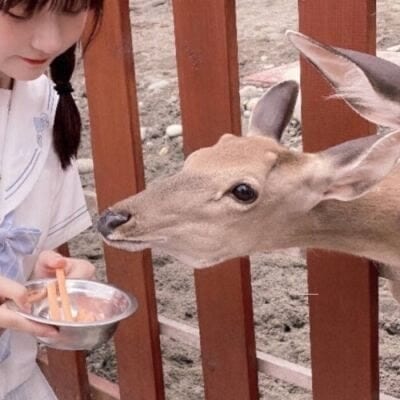 这个世界很大可是没有人听我说话(对象不是人系列情侣头像高清)