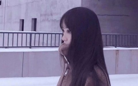 猪年喜庆情侣头像大全最新版(猪年情侣抖阴头像一男一女)