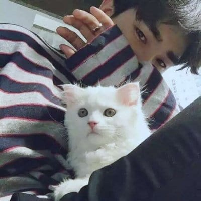 好看的男生头像帅气有气质(男生抱猫头像高清大全最新)