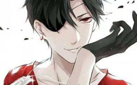 不谈感情我们都快乐(动漫男生头像超拽帅气精选)