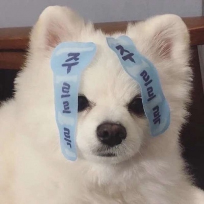 知交零落是人生常态(最可爱有趣的搞笑逗比头像)